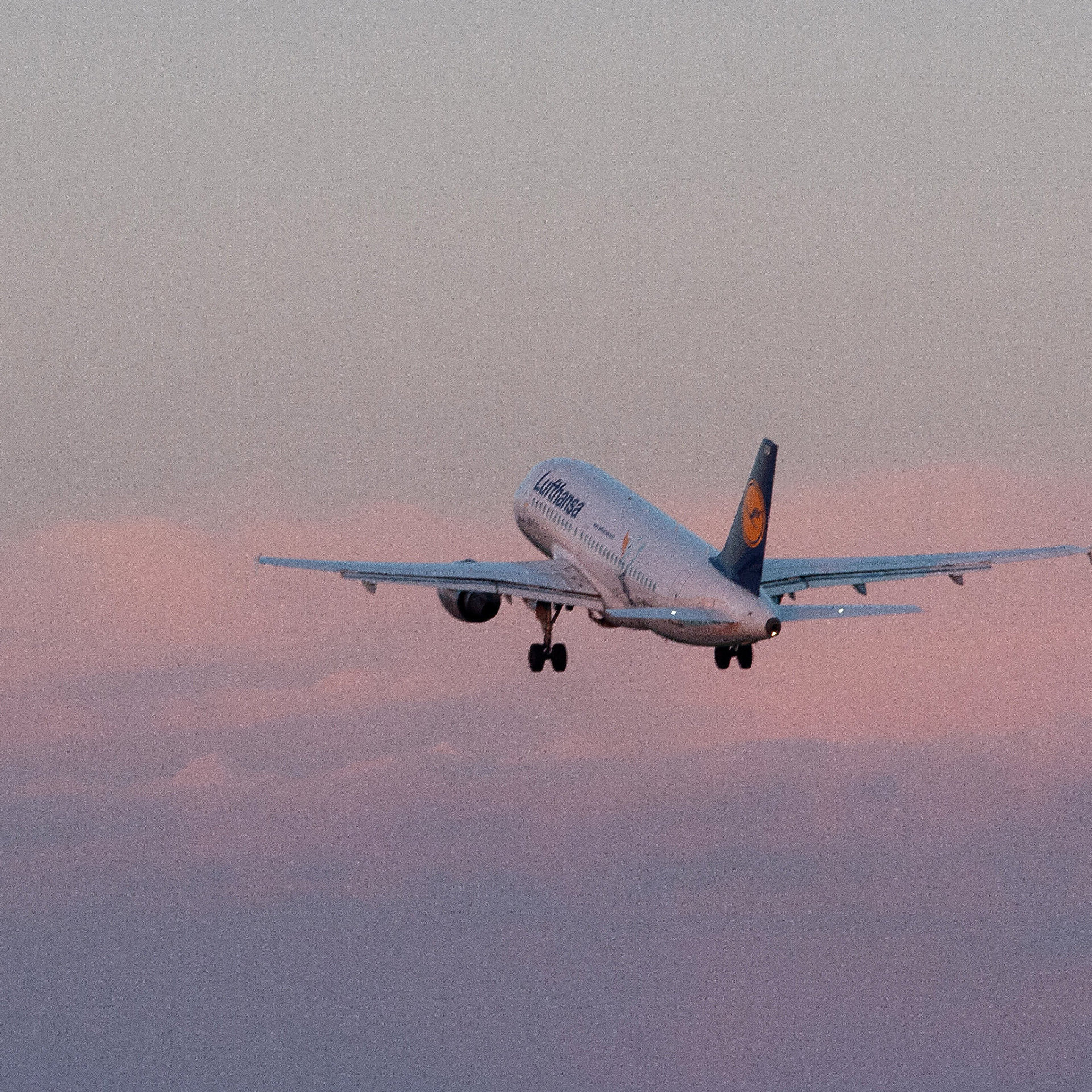 Скандинавская SAS приостанавливает полеты над Украиной