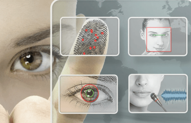 Что подразумевает под собой Единая биометрическая система?