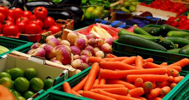 Торговля овощами в розницу как бизнес